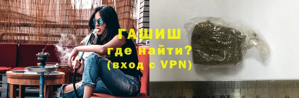 стаф Алзамай