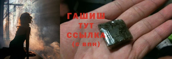 стаф Алзамай
