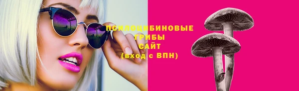 стаф Алзамай