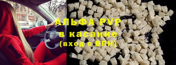 стаф Алзамай