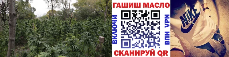 Дистиллят ТГК Wax мега маркетплейс Троицк наркошоп