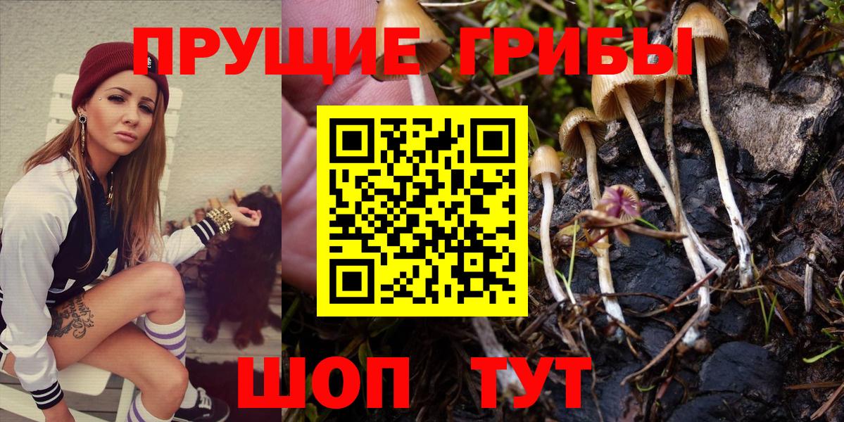 Галлюциногенные грибы GOLDEN TEACHER Троицк